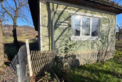 Oportunitate investitie in Casa familiala - 2