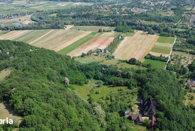 Casă cu Teren 24700 Mp în Copalnic - 10