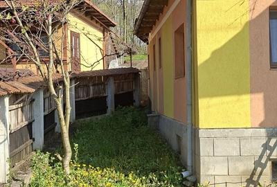 Casă cu 3 camere în Dobriceni - 2