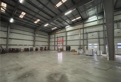 Depozit/hala/spatiu industrial Chiajna - Ciorogarla A1 - KM - 6