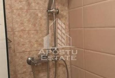 Casa individuala in Mosnita noua, Prima inchiriere, - 9