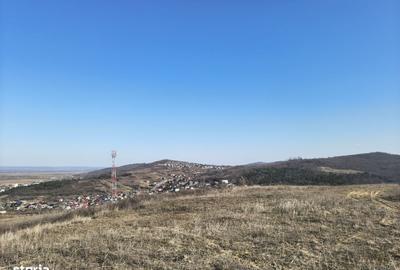 Spațiu comercial, în Tomești - 14