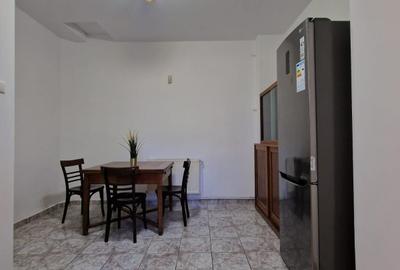 Stefan cel Mare -  Eminescu - Vasile Lascar - 4 camere - renovata 2025 - gradina - 23