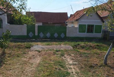 Casă cu 3 camere în Brestovăț - 1