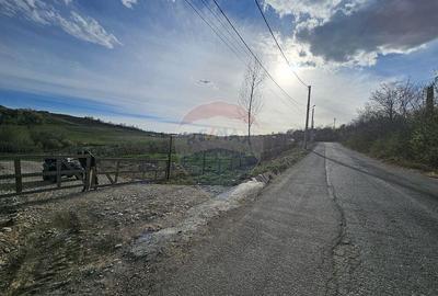 Teren de 15000 mp, în Breaza