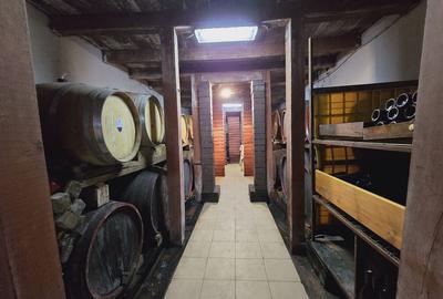 Teren de 80000 mp, în Covăsinț - 3