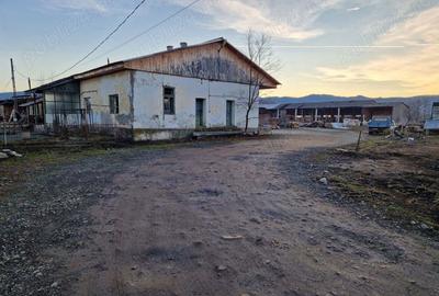 Inchiriez spa?ii produc?ie, Afacere la cheie Gatar ?i cherestea - 1