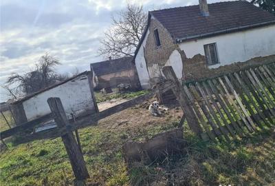 Casă cu 2 camere cu Teren 3462 Mp în Borș - 3