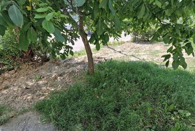 ?Apartament cu 2 camere de vanzare in zona Mioritei - 16