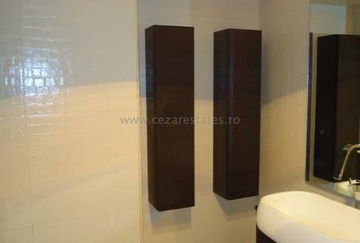 Apartament cu 2 camere decomandat, mobilat în Herăstrău - 7