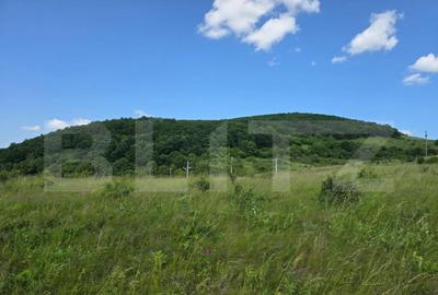 Teren de 3800 mp, în Iris