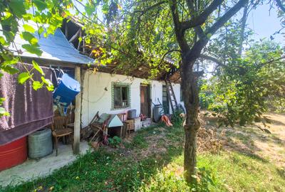 Casa , teren intravilan Urlueni Barla Arges - 19