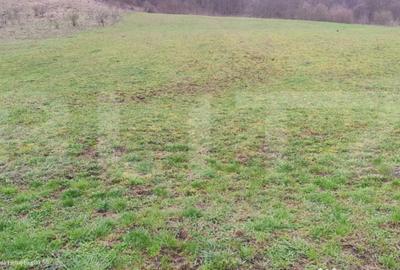 Teren în Central - 3