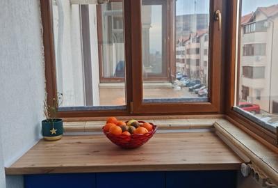 Apartament cu 2 camere semidecomandat în Lazaret - 4