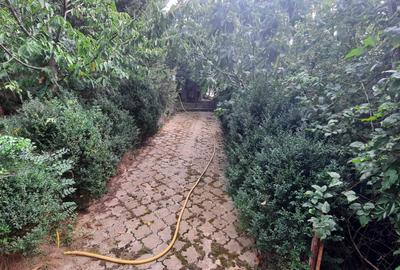 Vânzare proprietate deosebită în satul Găgeni, comuna Păulești, județul Prahova - 7