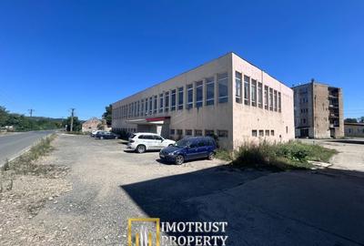 De Vânzare Hală Industrială – Lipova, Județul Arad - 3