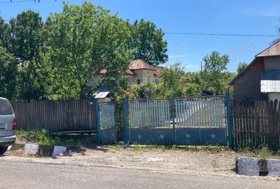 Casă cu 3 camere cu Teren 2200 Mp în Podgoria - 2