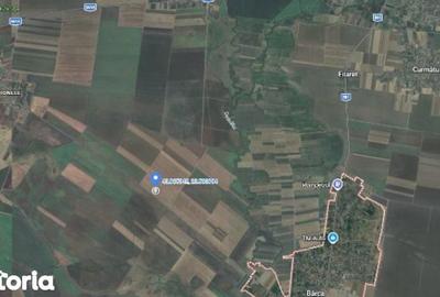 Teren de 5140 mp, în Radovan - 3