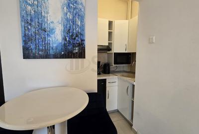 Garsonieră semidecomandată, mobilată în P-ța Universității - 4