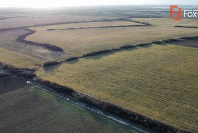 Teren Construcții intravilan de 2000 mp, în Moșnița Nouă - 8