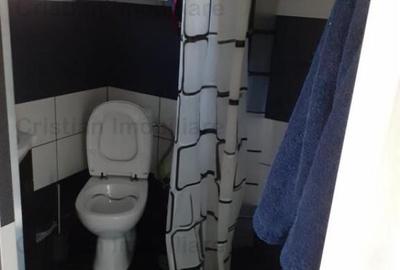 SUPER VILA 2018 P M SPATIU COMERCIAL 400mp. MOBILAT, Cher - 22