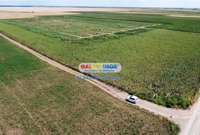 Teren agricol extravilan 2.6 ha - 26.000 mp - Valcelele, Buzau - 6