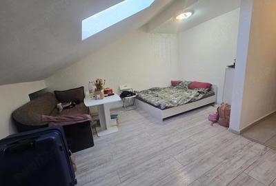 Garsonieră nedecomandată în Turnișor - 2