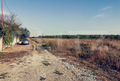 Teren Construcții intravilan de 365 mp, în Malu Mare - 3