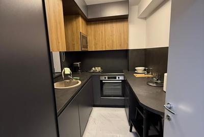 Apartament cu 2 camere decomandat, mobilat în Herăstrău - 13