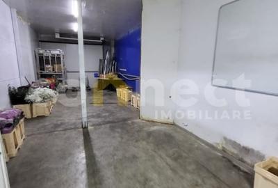 Hala 300mp+birouri 50mp - 4