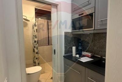 Apartament 2 Camere | Spatiu Birou | Benjamin Franklin 5 - 9