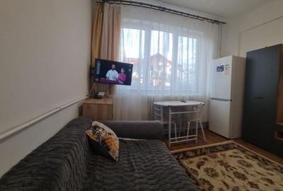 Garsonieră decomandată în Gruia - 10