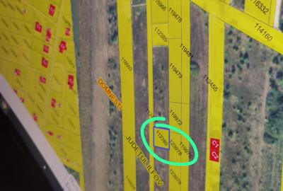 Teren agricol intravilan de 400 mp, în Domnești - 2