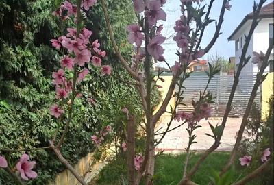 Urgent!Proprietar - 10