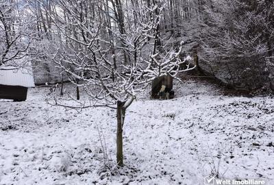Casa de vacanta, cu lac, 5640 mp teren, Huta, com. Chiuiesti, jud. Cluj - 51
