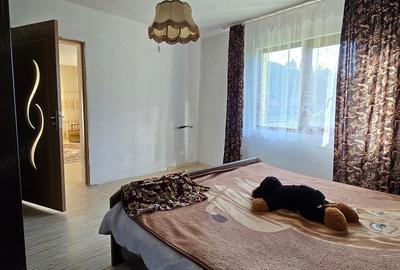 Casă cu 5 camere cu Teren 2763 Mp în Băița - 15