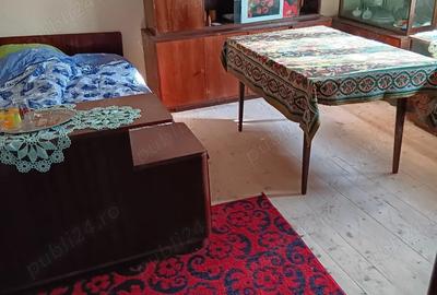 Casa la Slanic Prahova util 50mp, teren 600mp - 3