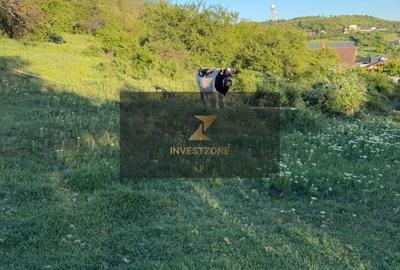 Teren de 2700 mp, în Oncea - 12