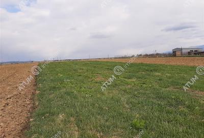 Eren intravilan 1400 mp de pe Valea Avrigului - 7