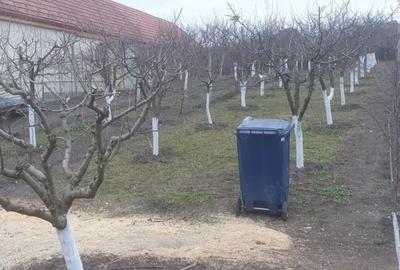 Teren de 966 mp, în Păuca - 8