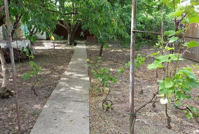 Casă cu 3 camere în Poienarii Burchii - 5