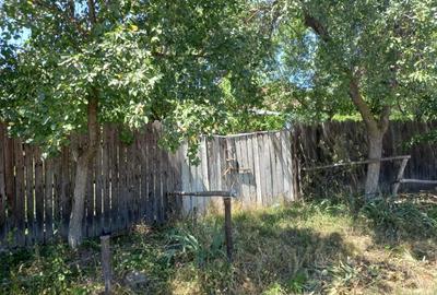 Casă cu 2 camere în Central - 4