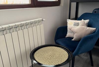 Apartament cu 3 camere decomandat, mobilat în Abator - 3