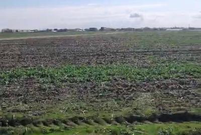 Vanzare teren Vidra Cartier Megaparc - 6