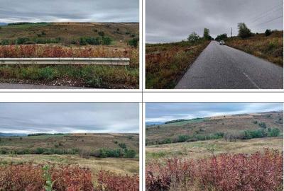 Teren extravilan pasune Ardeoani, ID: R2404603 - 3