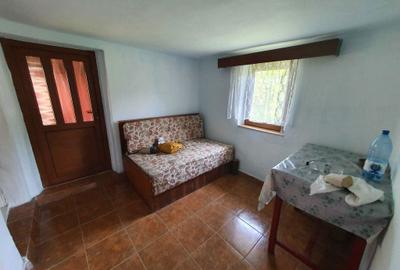 Casă cu 3 camere în Slătioara - 2