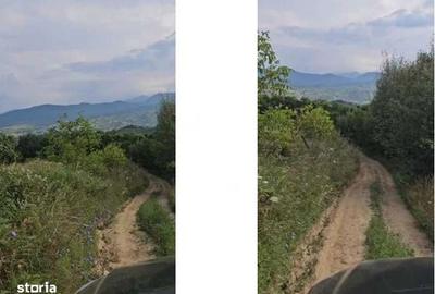 Teren de 6311 mp, în Central - 4