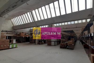 Hala 3600mp zona de Sud a capitalei - 24
