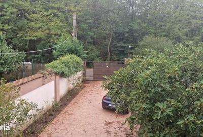 Casă cu 4 camere în Siliștea Snagovului - 17