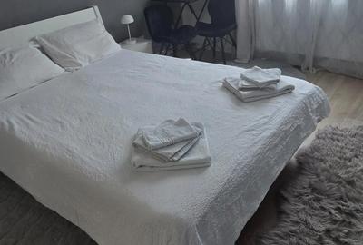 Garsonieră nedecomandată în Buziașului - 8